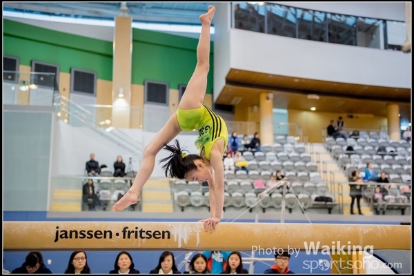 2017-01-15 Artistic Gymnastics 0069