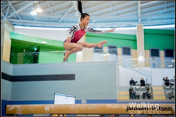 2017-01-15 Artistic Gymnastics 0071