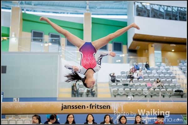 2017-01-15 Artistic Gymnastics 0073