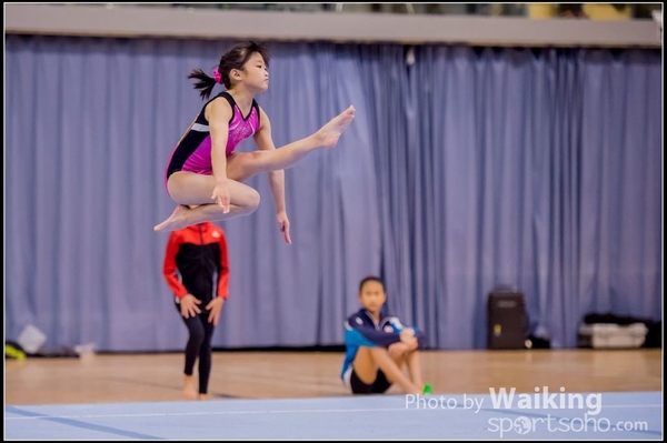 2017-01-15 Artistic Gymnastics 0082