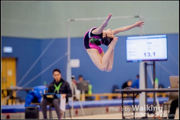 2017-01-15 Artistic Gymnastics 0084
