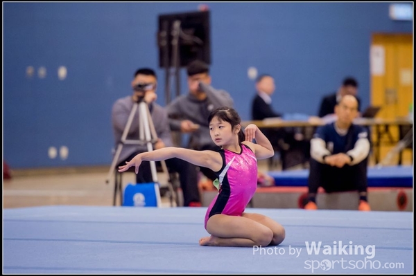 2017-01-15 Artistic Gymnastics 0085