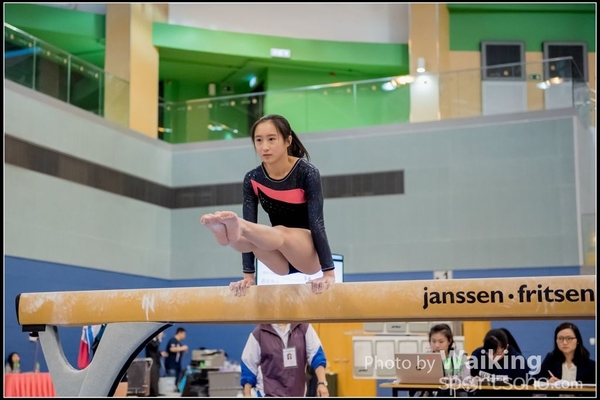 2017-01-15 Artistic Gymnastics 0087