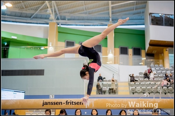 2017-01-15 Artistic Gymnastics 0088