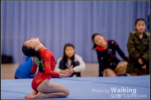2017-01-15 Artistic Gymnastics 0094