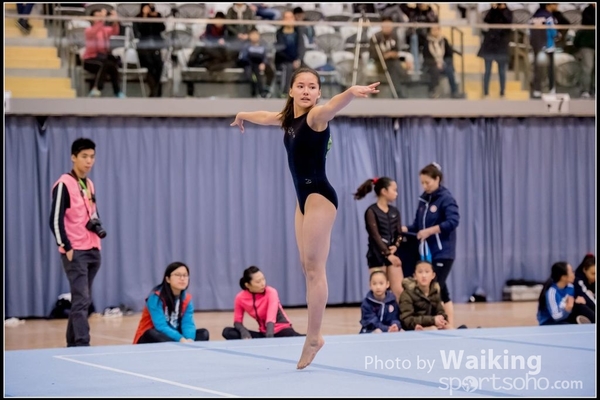 2017-01-15 Artistic Gymnastics 0097