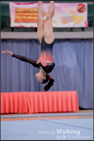 2017-01-15 Artistic Gymnastics 0100