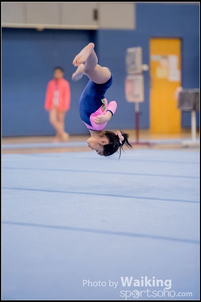 2017-01-15 Artistic Gymnastics 0105