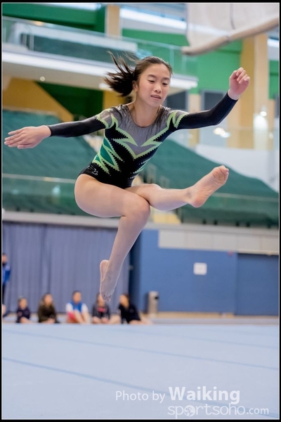 2017-01-15 Artistic Gymnastics 0107