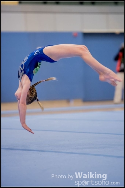 2017-01-15 Artistic Gymnastics 0110