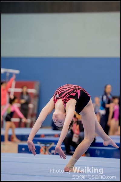2017-01-15 Artistic Gymnastics 0116