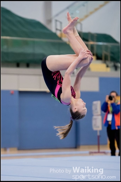 2017-01-15 Artistic Gymnastics 0117