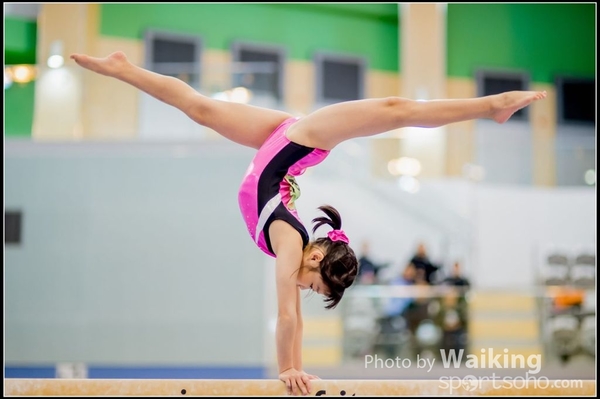 2017-01-15 Artistic Gymnastics 0118