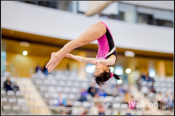 2017-01-15 Artistic Gymnastics 0119