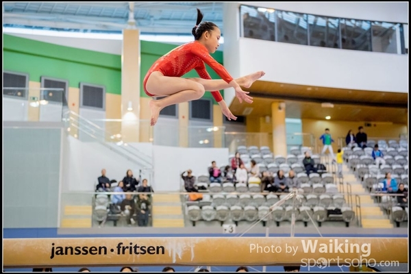 2017-01-15 Artistic Gymnastics 0120