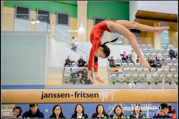2017-01-15 Artistic Gymnastics 0121