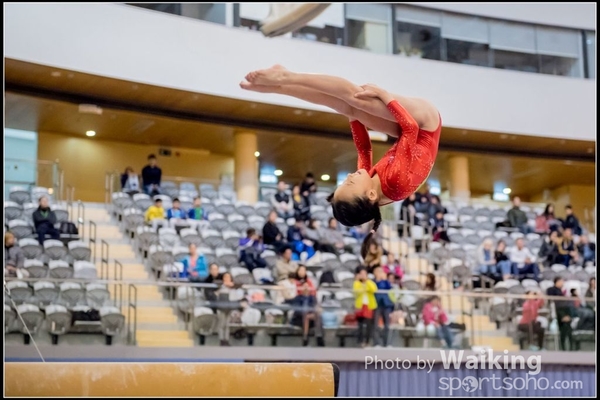 2017-01-15 Artistic Gymnastics 0122
