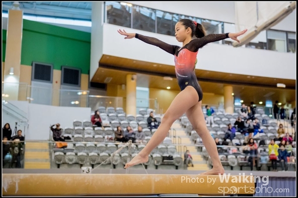 2017-01-15 Artistic Gymnastics 0128