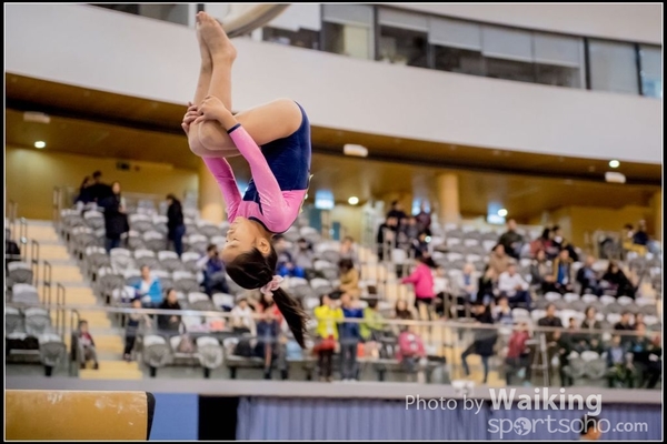 2017-01-15 Artistic Gymnastics 0135