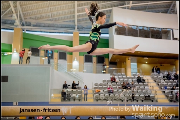 2017-01-15 Artistic Gymnastics 0140