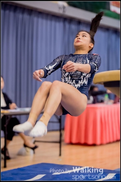 2017-01-15 Artistic Gymnastics 0192