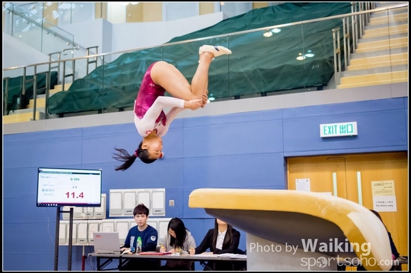 2017-01-15 Artistic Gymnastics 0205