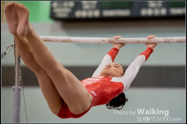 2017-01-15 Artistic Gymnastics 0233