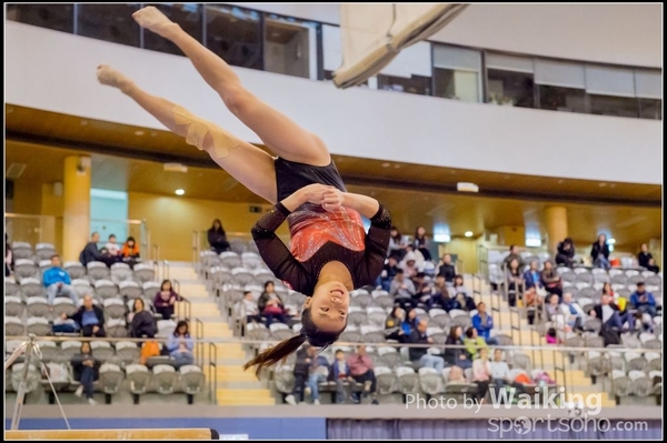 2017-01-15 Artistic Gymnastics 0260