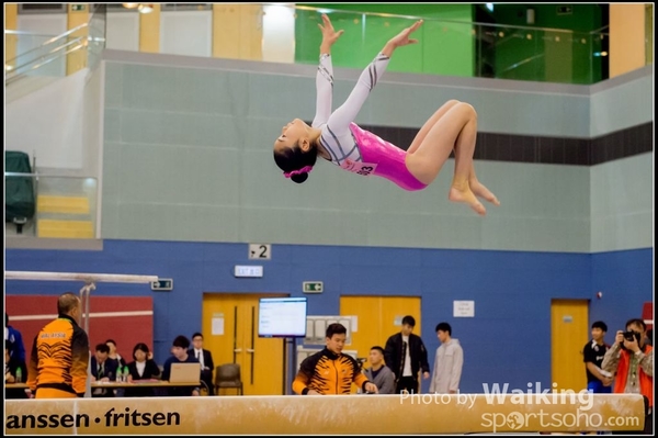 2017-01-15 Artistic Gymnastics 0272