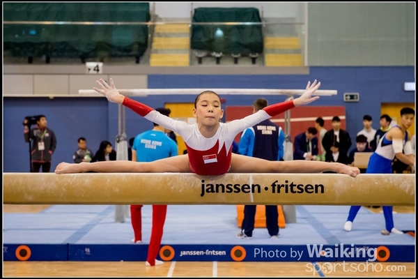 2017-01-15 Artistic Gymnastics 0283