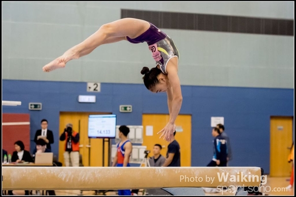 2017-01-15 Artistic Gymnastics 0296