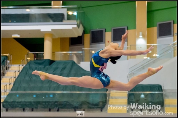 2017-01-15 Artistic Gymnastics 0301