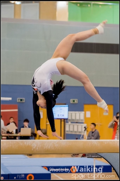 2017-01-15 Artistic Gymnastics 0313