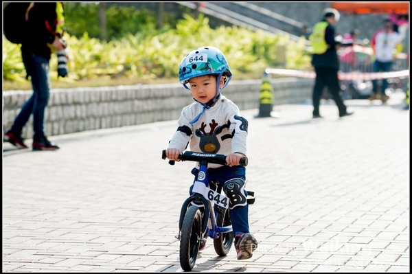 2017-01-22 Vita Green Bicycle 0161
