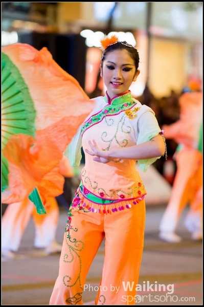 2017-01-28 Night Parade 0134