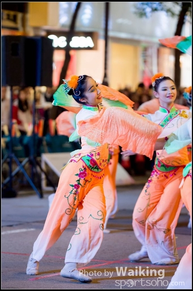 2017-01-28 Night Parade 0139
