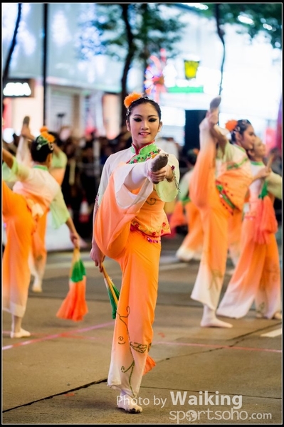 2017-01-28 Night Parade 0303