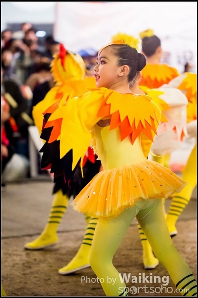 2017-01-28 Night Parade 0377