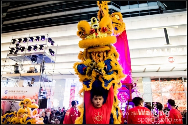 2017-01-28 Night Parade 0388