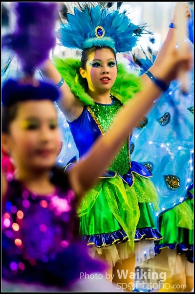 2017-01-28 Night Parade 0589