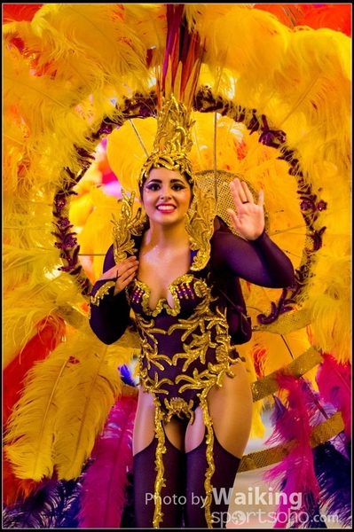 2017-01-28 Night Parade 0778