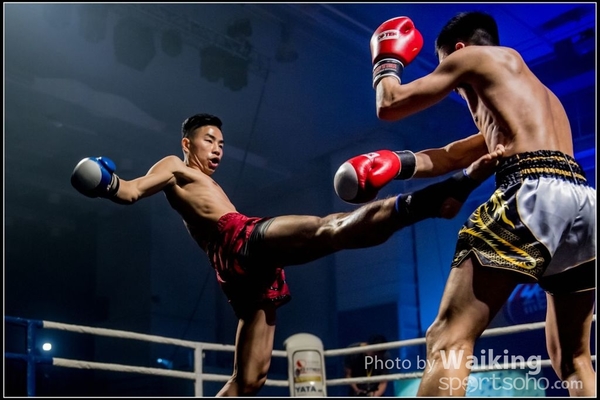 2017-02-17 217 Charity Fighting 0194