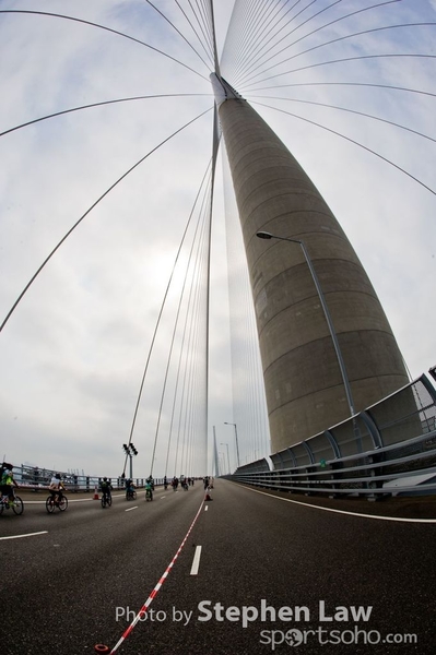 SP1_9694