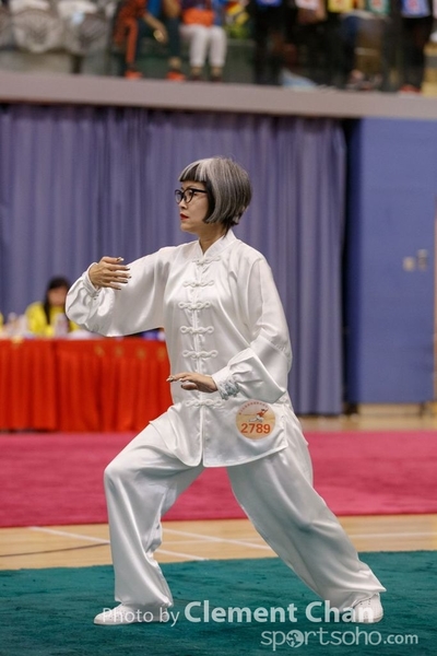 HKWSJ2017_0149