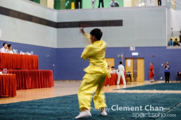 HKWSJ2017_0248