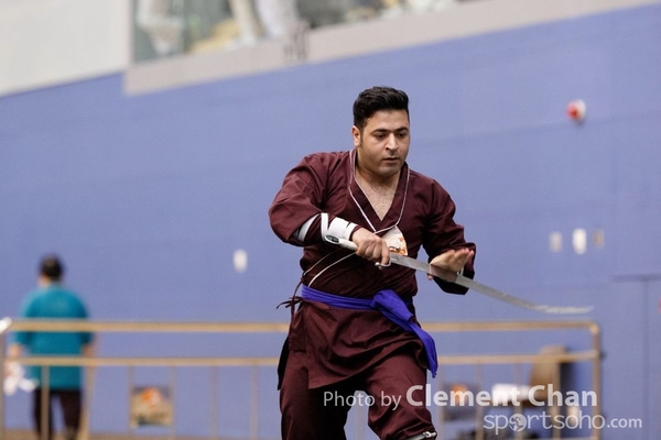 HKWSJ2017_0454