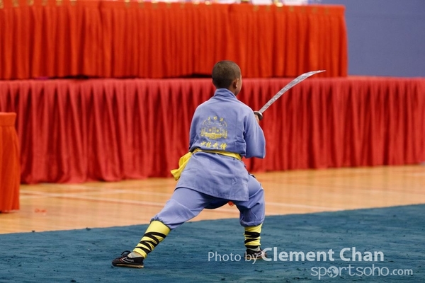 HKWSJ2017_0583