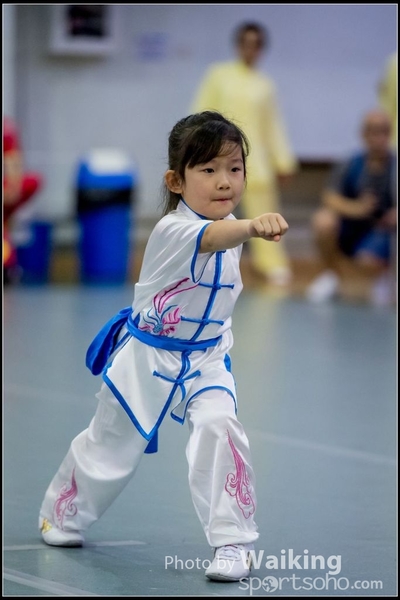2017-04-16 Wushu 0004