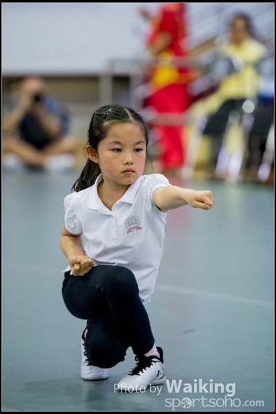 2017-04-16 Wushu 0006
