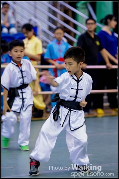 2017-04-16 Wushu 0007